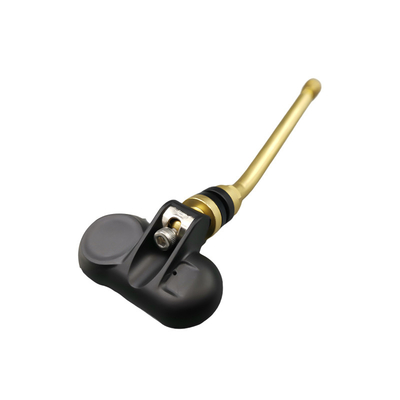 Sistema di controllo di pressione di gomma di TPMS rv